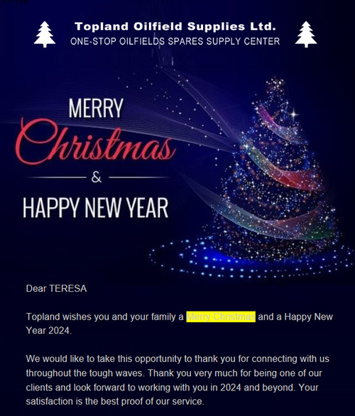 Latest company news about MERRY CHRISTMAS AND HAPPY NEW YEAR