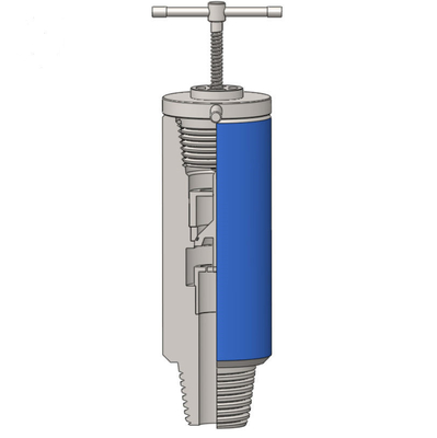 Forging Inside BOP Valve Spare Parts API 7-1 5000psi -15000psi