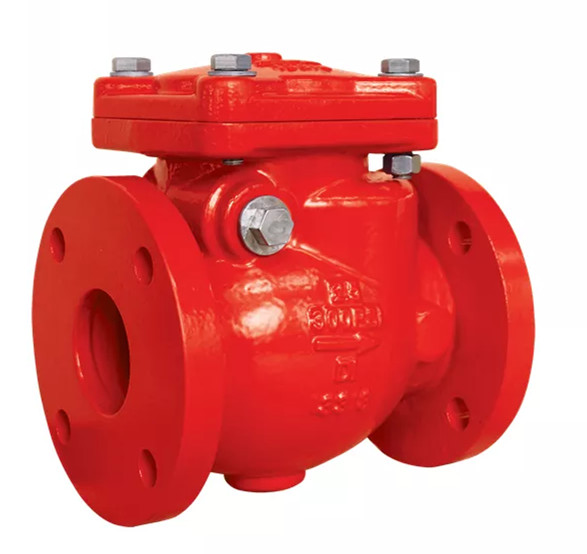 DN80 Manifold Control Valve Swing Check Valve With Flanged Ends 1