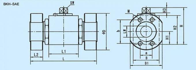 Flange Hydraulic Manifold Control Valve BKH-SAE Stainless Steel High Pressure Ball Valve 0