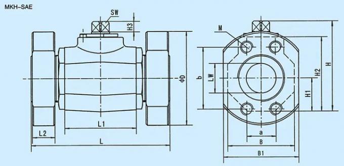 Flange Hydraulic Manifold Control Valve BKH-SAE Stainless Steel High Pressure Ball Valve 1