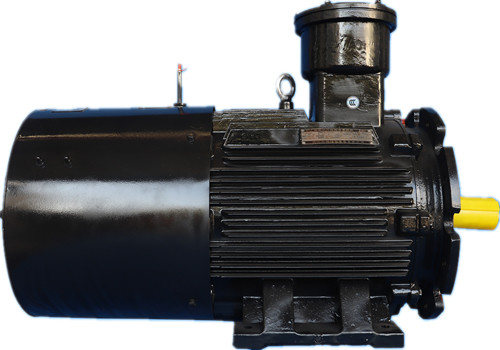 YBBP Series Explosion-Proof Motor Three Phase Asynchronous Motor 1