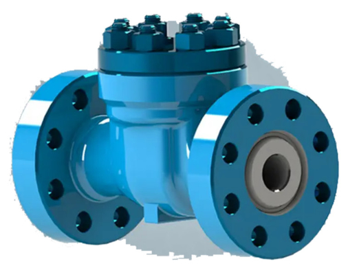 API 6A 5000 PSI Manifold Control Valve Non Return NRV Lift Check Valve
