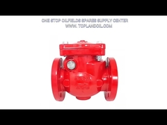 DN80 Manifold Control Valve Swing Check Valve With Flanged Ends