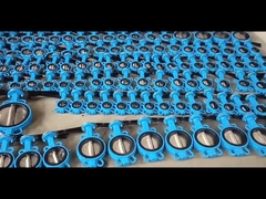 Manifold Control Valve 2 inch 2-24